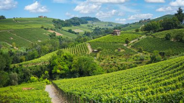 Langhe vineyards sunset panorama, Barolo, Unesco Site, Piedmont, Northern Italy Europe.
