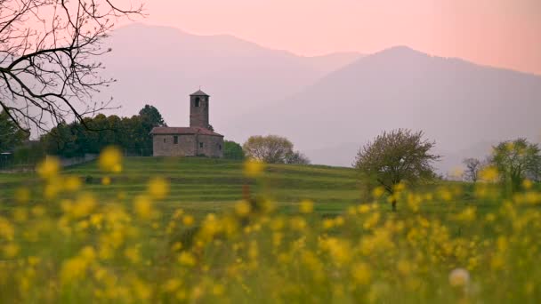 Campo di fiori gialli e la vecchia chiesa sullo sfondo. Pace, tranquillità e relax Concetto — Video Stock