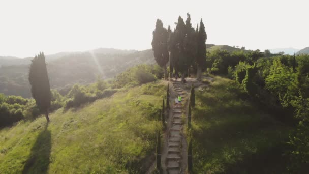 Güneş ışığı altında güzel terasların hava manzarası. Montevecchia, Lecco, İtalya — Stok video