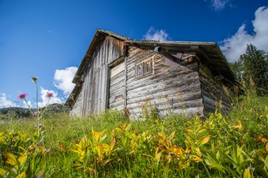 eski alpine hut
