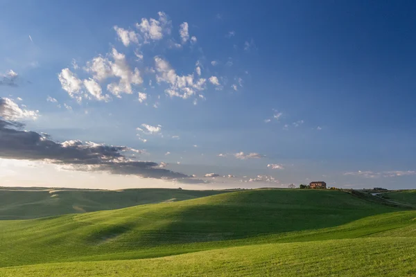 Dolinie Val d'Orcia — Zdjęcie stockowe