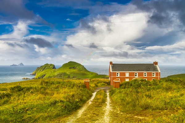 Puffin 섬, 아일랜드 — 스톡 사진