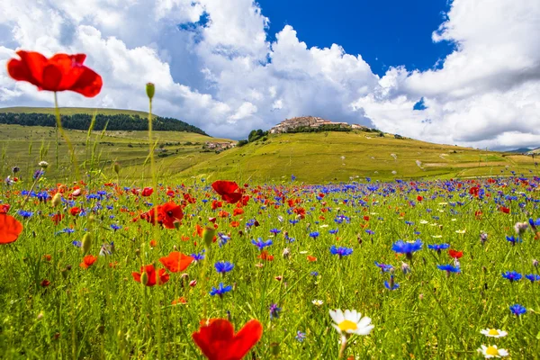 yeşil bir tepede Köyü