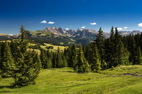 Alpe di Siusi (Dolomiti) — Photo