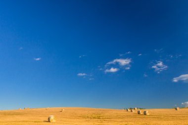 tarım arazisi ve kopyalama alanı