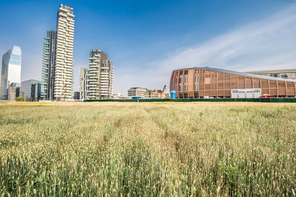 Wheatfield land in Milan — Zdjęcie stockowe
