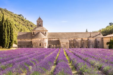 Senanque Abbey in Provence, France clipart