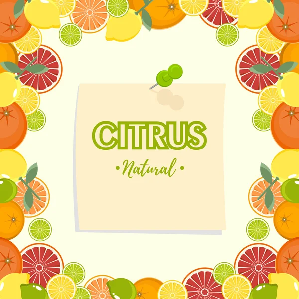Grapefruit, limoen, citroen en sinaasappel. Citrus mix geïsoleerd op een witte achtergrond kan worden gebruikt voor café menu ontwerp. Citrus frame. — Stockfoto