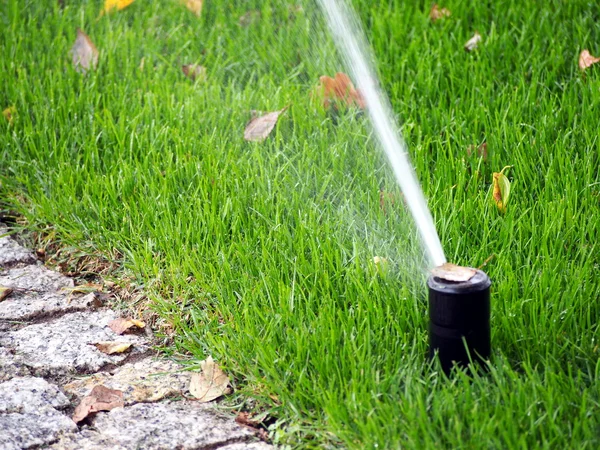 Garden automatic irrigation system, working sprinkler — Stock Photo, Image