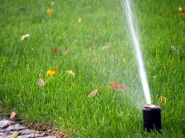 Garden automatic irrigation system, working sprinkler — Stock Photo, Image