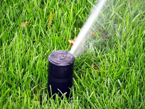 Trädgården automatiska bevattningssystem, arbetande sprinkler — Stockfoto