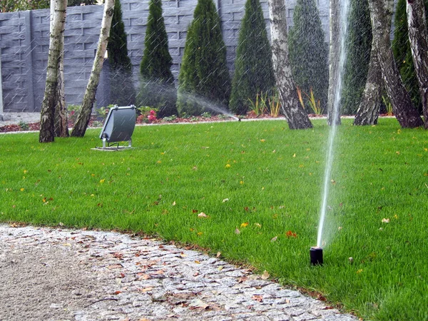 Garden automatic irrigation system, working sprinkler — Stock Photo, Image