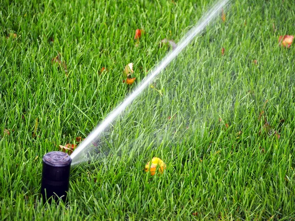 Garten automatische Bewässerungsanlage, funktionierende Sprinkleranlage — Stockfoto