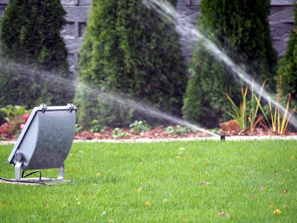 Garden automatic irrigation system, working sprinkler — Stock Photo, Image