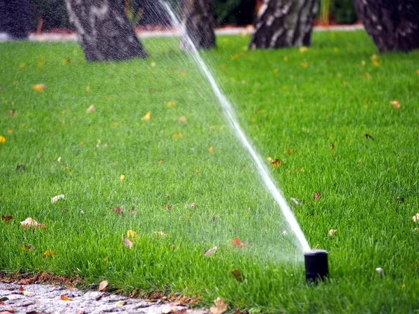 Garten automatische Bewässerungsanlage, funktionierende Sprinkleranlage — Stockfoto