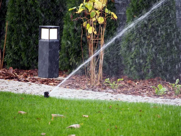 Garden automatic irrigation system, working sprinkler — Stock Photo, Image