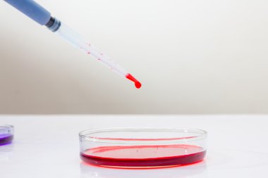 Pipet sıvı test tüplerinin ekleme