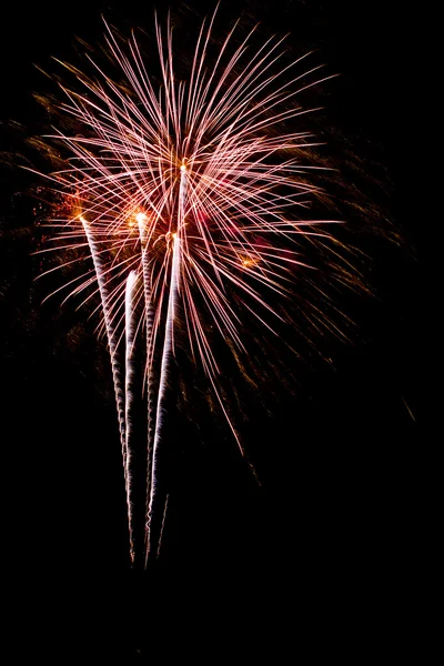 Firework streaks in the night sky. — Stock Photo, Image