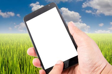 Adam elini boş dokunmatik ekran akıllı telefon yeşil pirinç alan üzerinde