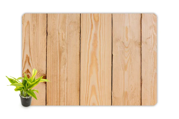 Yucca in den kleinen Töpfen auf Holz Textur Hintergrund. — Stockfoto