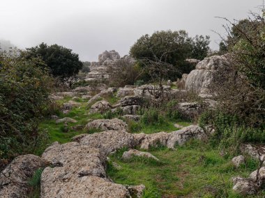 El Torcal de Antequera Doğal Parkı Görünümü.