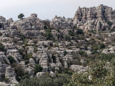 El Torcal de Antequera Doğal Parkı Görünümü.