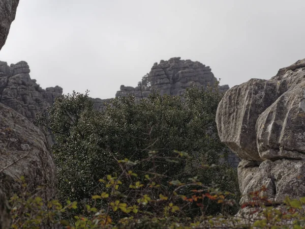 Άποψη Του Torcal Antequera Φυσικό Πάρκο — Φωτογραφία Αρχείου