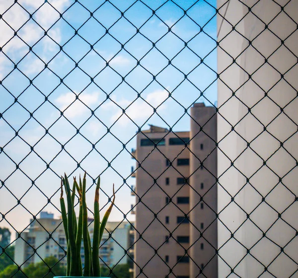 View Window Safety Net — Stock Photo, Image