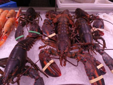 Deniz ürünleri pazarında Buzda Istakoz Kapanışı.