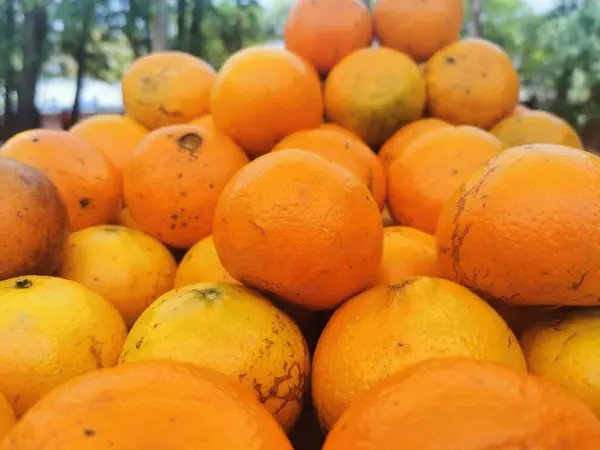 オレンジのグループの完全なフレーム — ストック写真