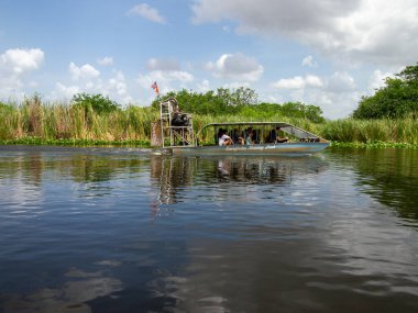 MIAMI, ABD - 19 Temmuz 2015: Everglades Ulusal Parkı 'nın Yazın Güzel Manzarası.