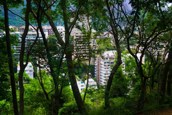 Pohled Budovy Uprostřed Deštného Pralesa Rio Janeiru — Stock fotografie