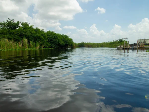 Miami Usa Juli 2015 Schöne Aussicht Auf Den Everglades National — Stockfoto