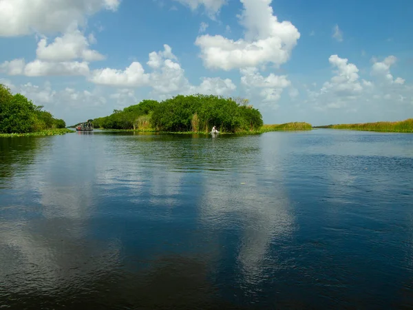 Everglades Güzel Manzarası Yazın Bataklığı — Stok fotoğraf