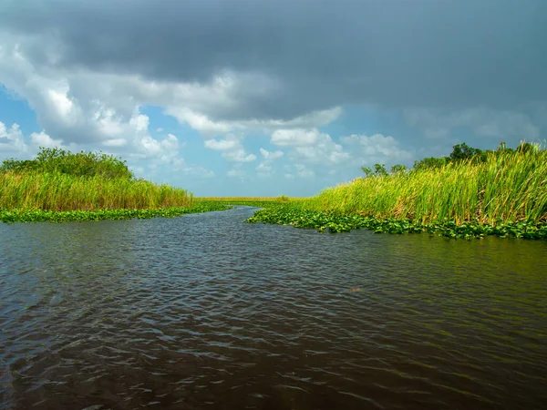 Ein Schöner Blick Auf Den Everglades Sumpf Sommer — Stockfoto