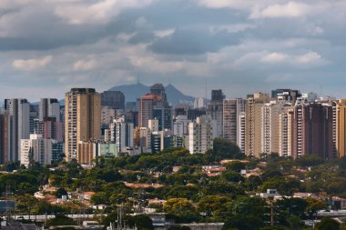 Sao Paulo 'daki Yerel Havaalanı' nın manzarası.