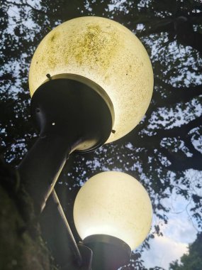 Ağaçlara ve gökyüzüne karşı yuvarlak direkli lambaların alçak görüntüsü.