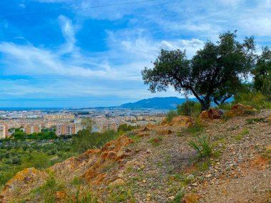 Malaga 'daki Teatinos Mahallesi Yüksek Açı Görünümü.