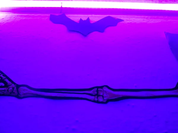 Korku evindeki cadılar bayramı süslemeleri. Kemikler ve kafalarla, örümcek ağları, yarasalar ve canavarlarla dolu bir gece için tüm korkunç dekorasyonlar.