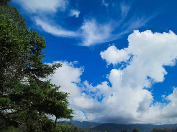 Doğayla çevrili uçsuz bucaksız mavi gökyüzü merkezinde bulutlar