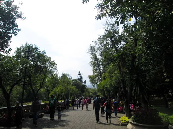 Ağaçlar şehre doğayı veriyor. Buna çok ihtiyaçları var.