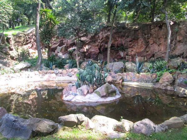 Chapulktec ormanındaki göller yaşamın doğası.