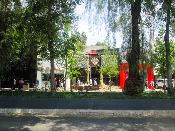 Hafta sonunun bir günü Mexico City 'de Polanco sokaklarında yürüyorum.