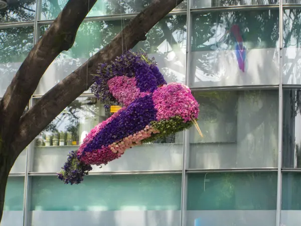 Güzel botanik fotoğrafı, doğal duvar kağıdı.