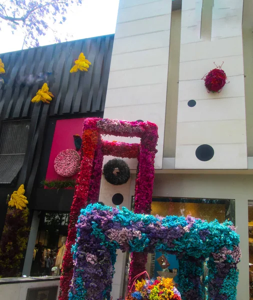 Bahçedeki güzel çiçekler