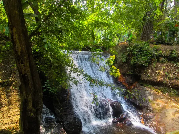 Tayland ormanındaki şelale..