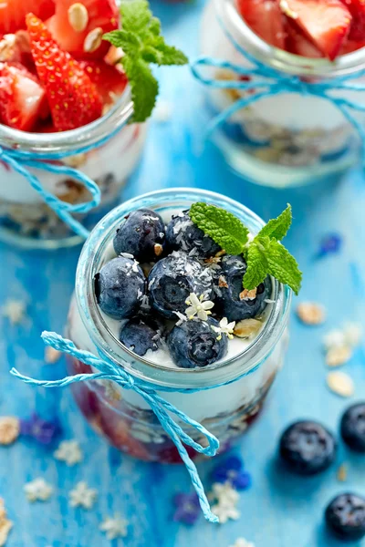 Berry yoğurt tatlı müsli, taze nane ve Hindistan cevizi pul ilavesi ile — Stok fotoğraf