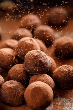 Çikolatalı trüf mantarı, kakao tozu serpiştirilmiş, yakın görüş. Nefis ev yapımı tatlı.. 