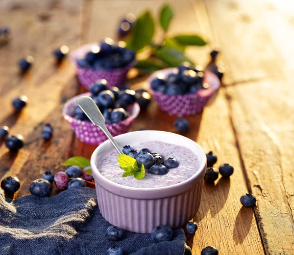 Chia zaad pudding met organische bosbessen — Stockfoto