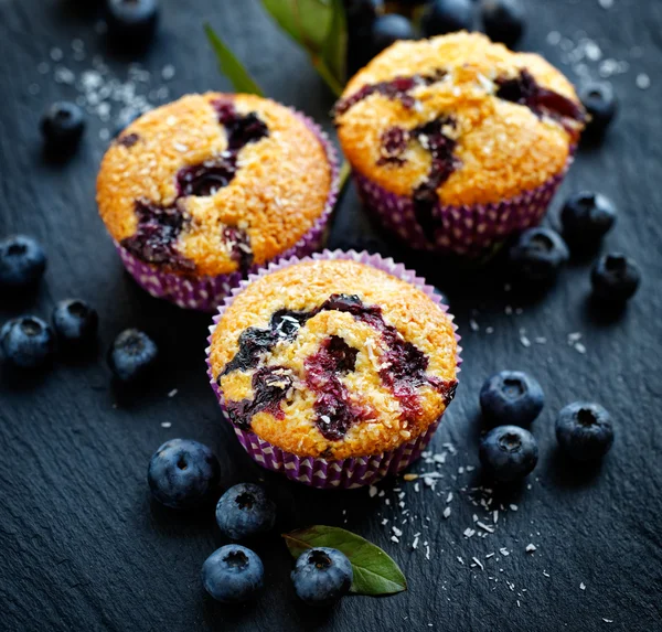 Blueberry muffins — Stock Photo, Image
